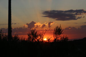 IMG_3352